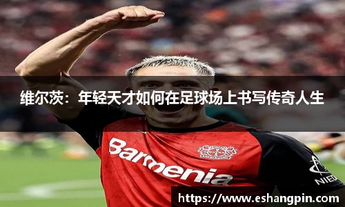 开云电竞官网